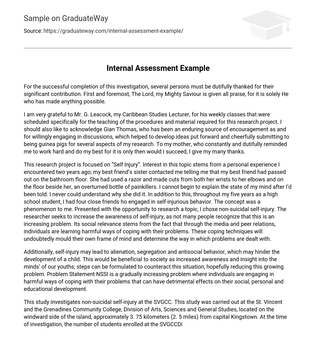 Ib Economics Internal Assessment Examples