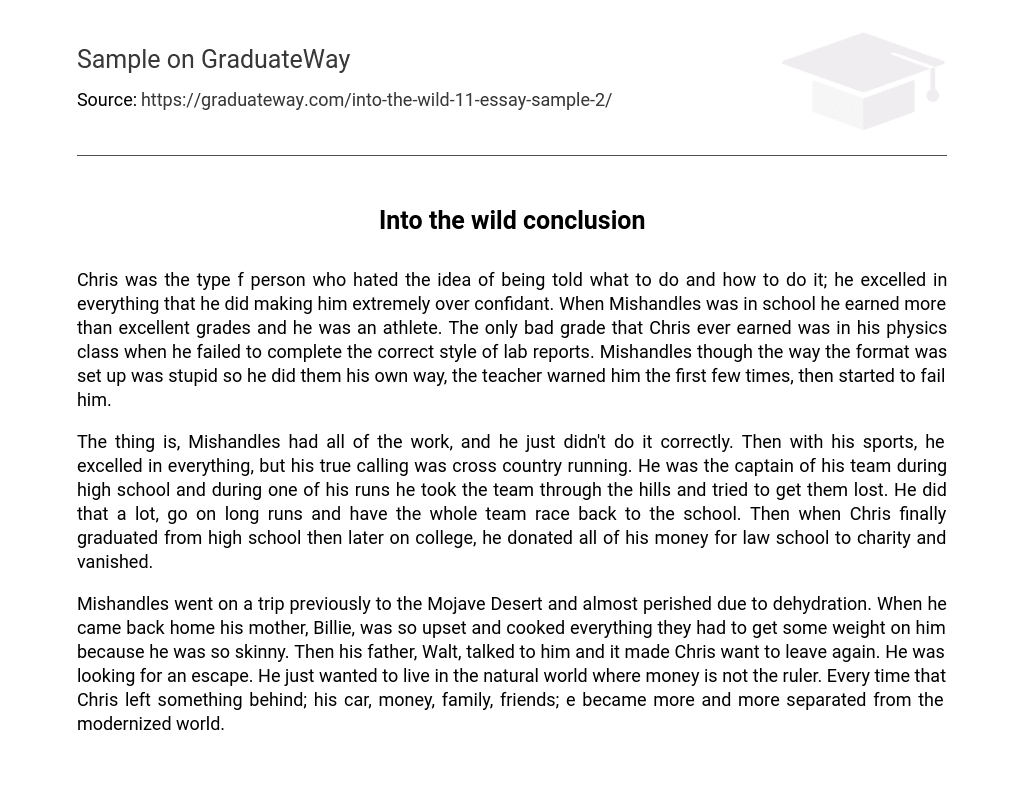 Into the wild conclusion