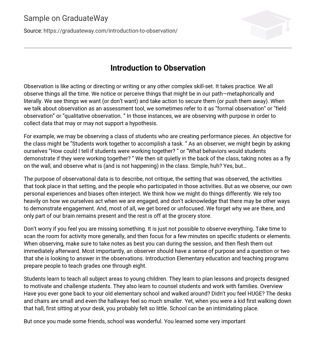 observation experience essay