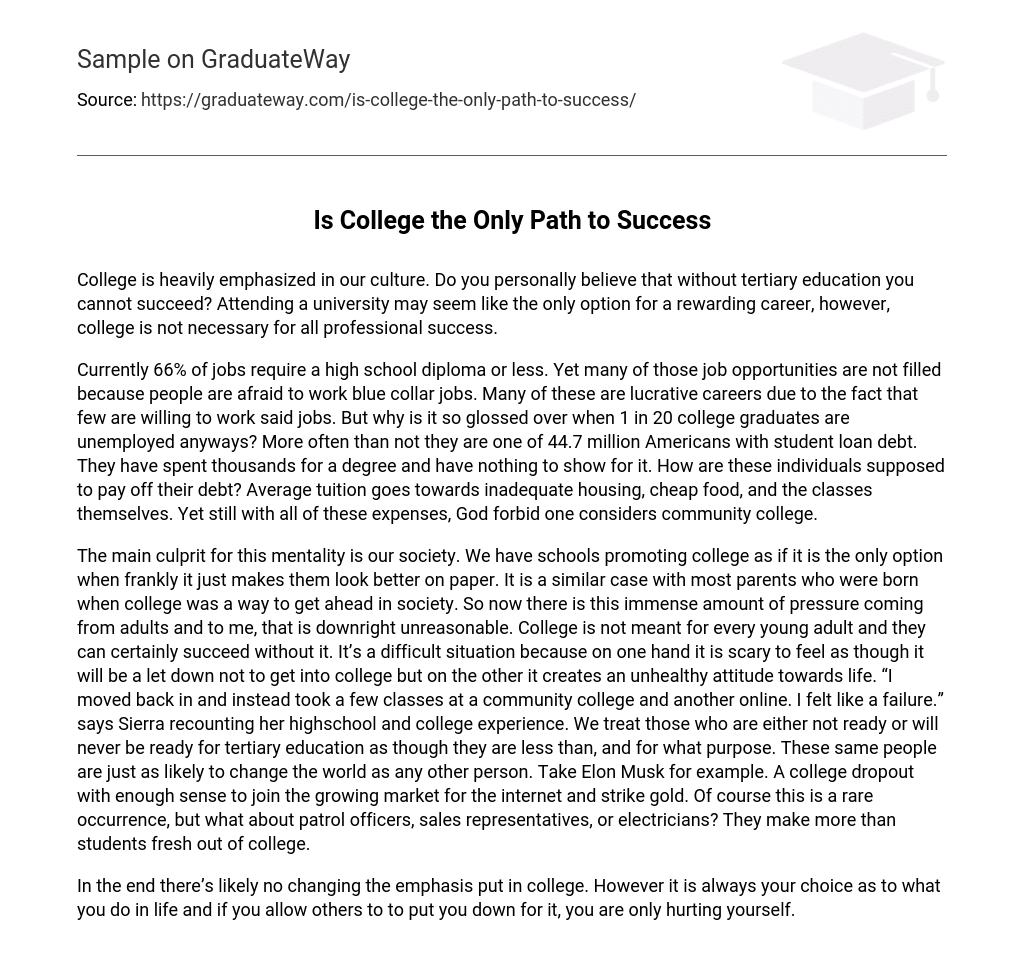 path to success in college essay