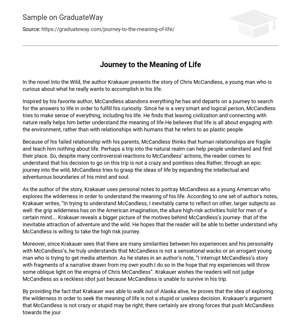 Journey to the Meaning of Life