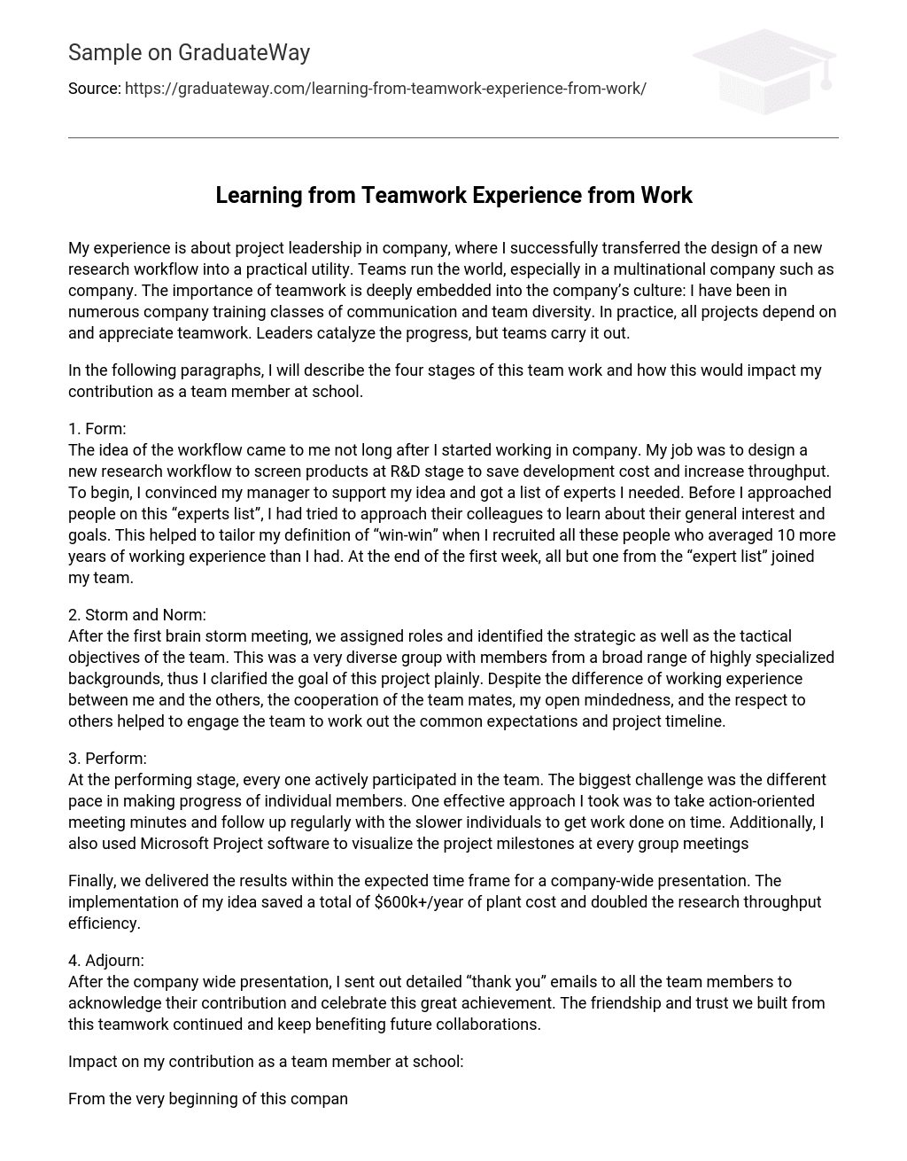 my teamwork experience essay