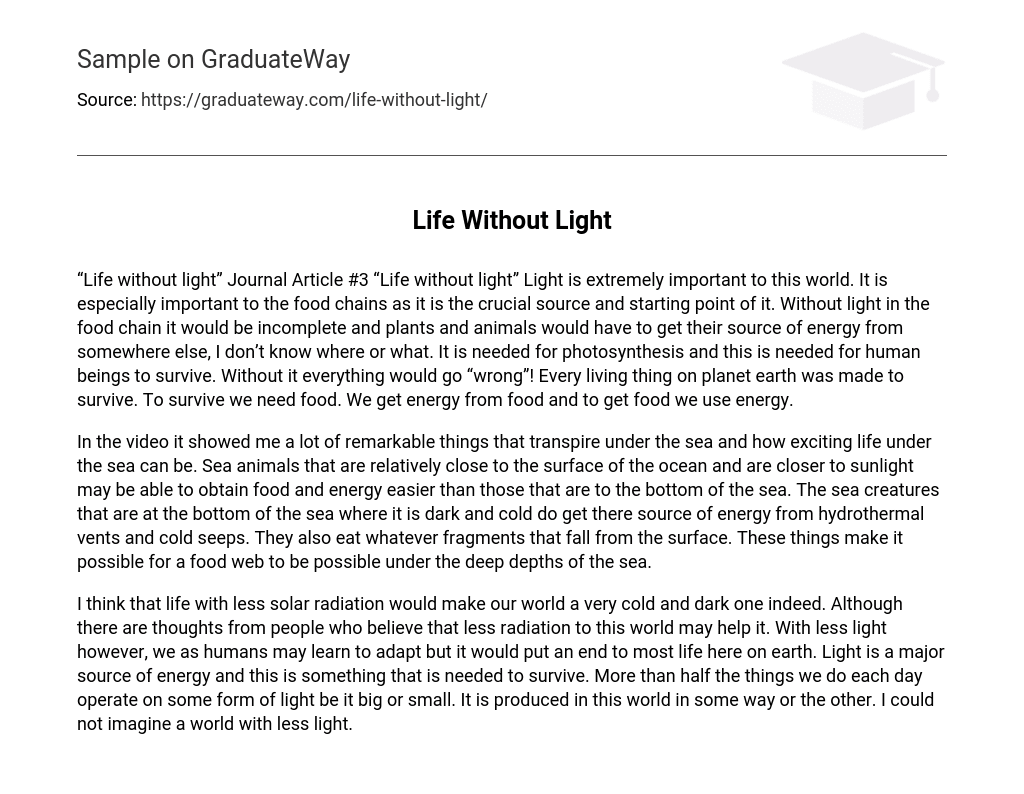 Life Without Light Free Essay Example 348 words | GraduateWay