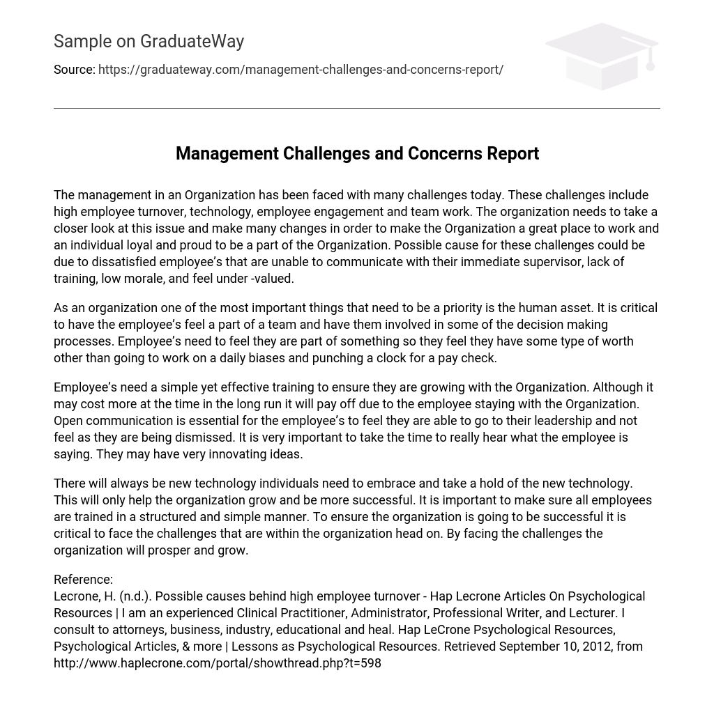 Management Challenges and Concerns Report