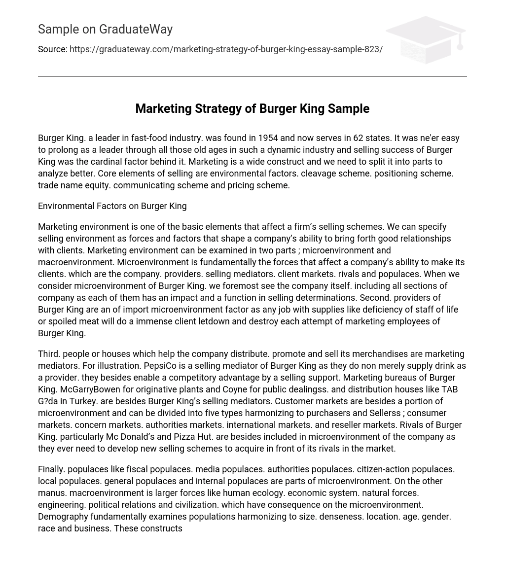 Marketing Strategy of Burger King Sample