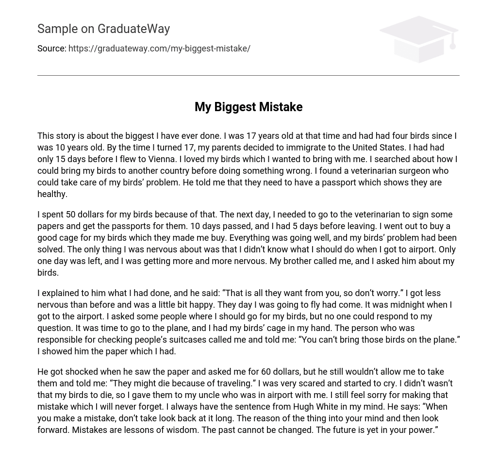 a big mistake essay