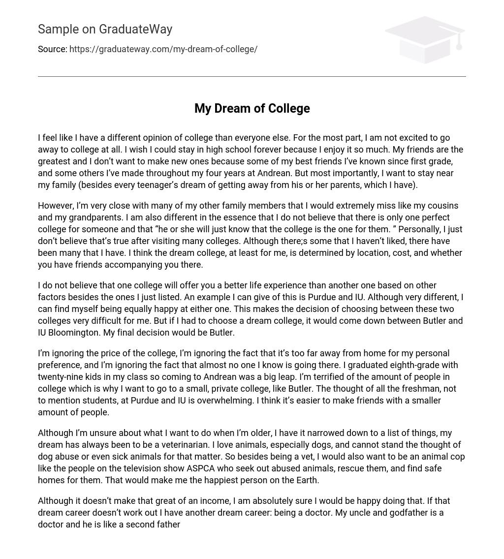 essay about my dream college