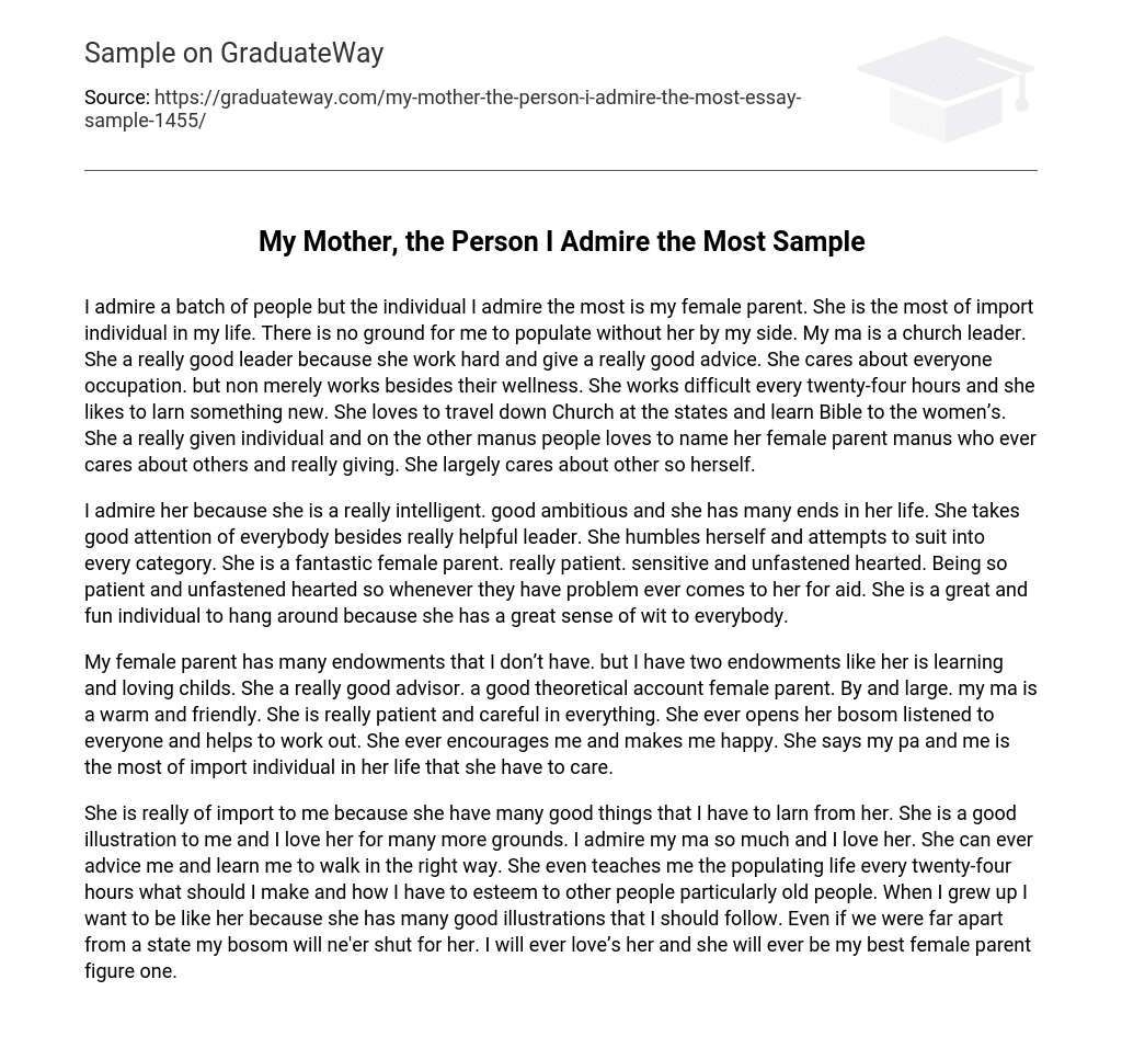 essay admire my mom