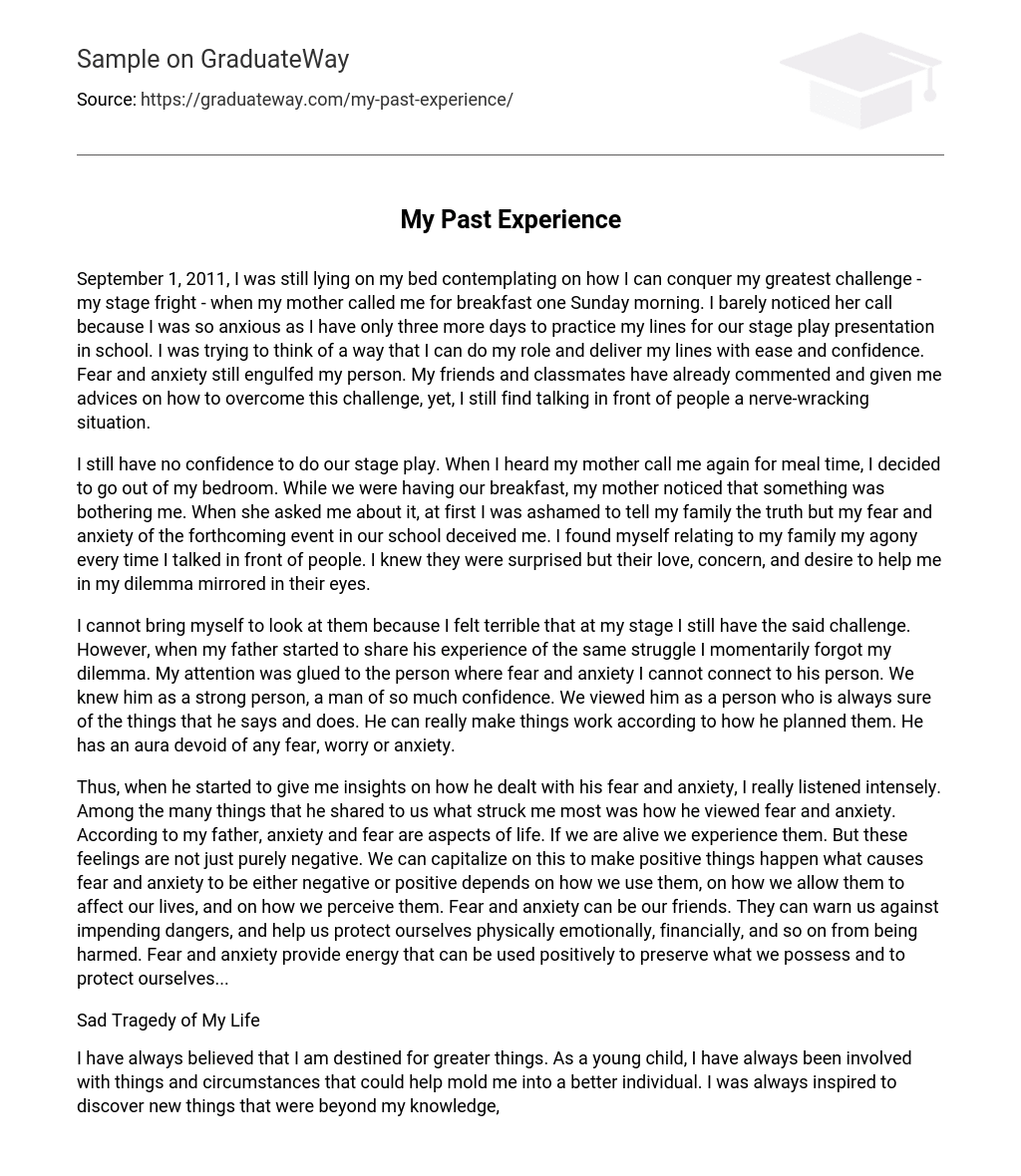 My Past Experience - 1141 Words | Free Essay Example on GraduateWay