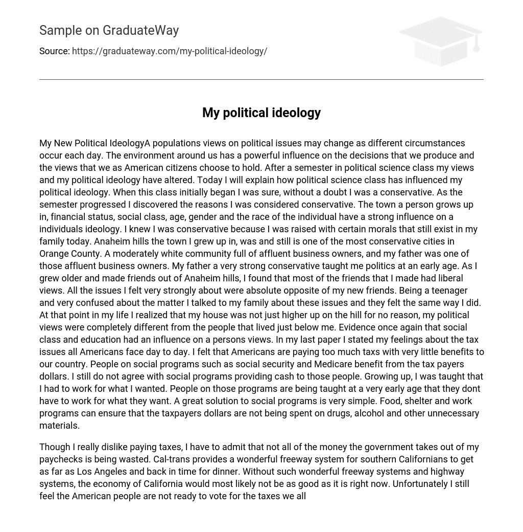 political ideology opinion essay