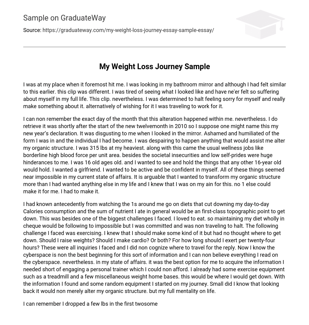 My Weight Loss Journey Sample