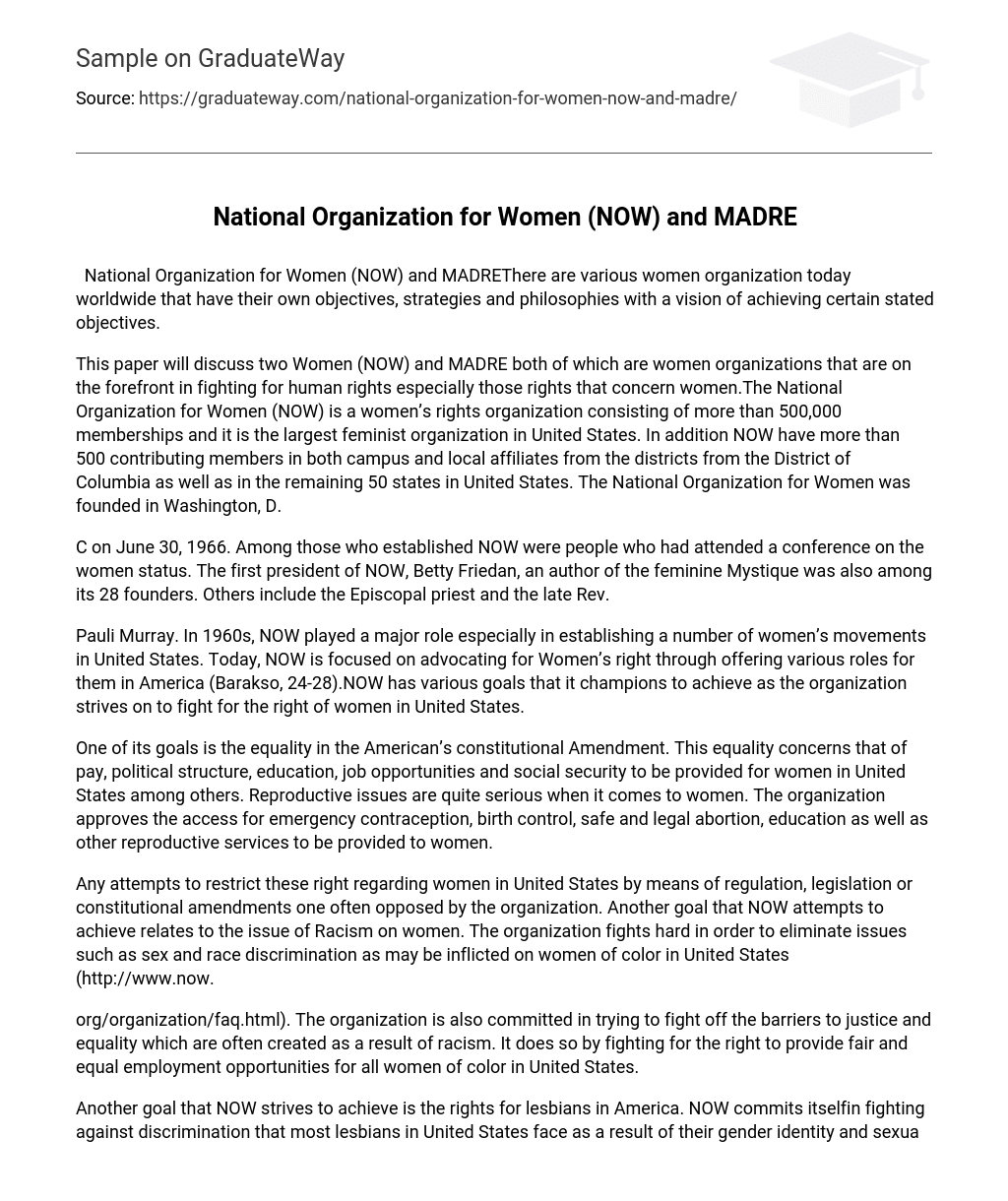 National Organization for Women (NOW) and MADRE