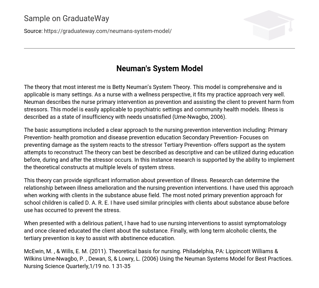 Neuman’s System Model