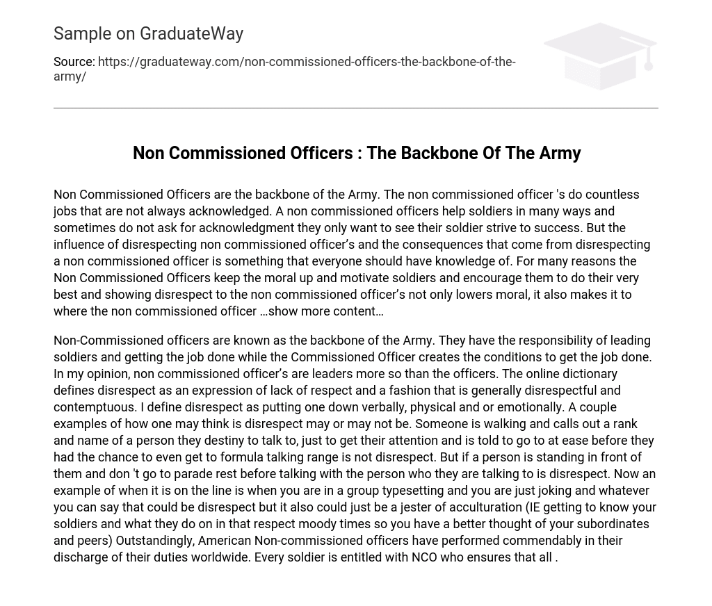Non Commissioned Officers : The Backbone Of The Army