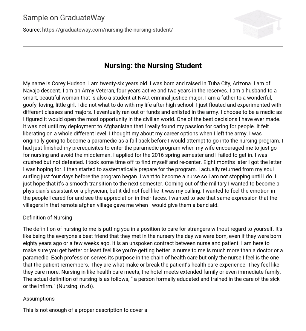 nursing school essay example