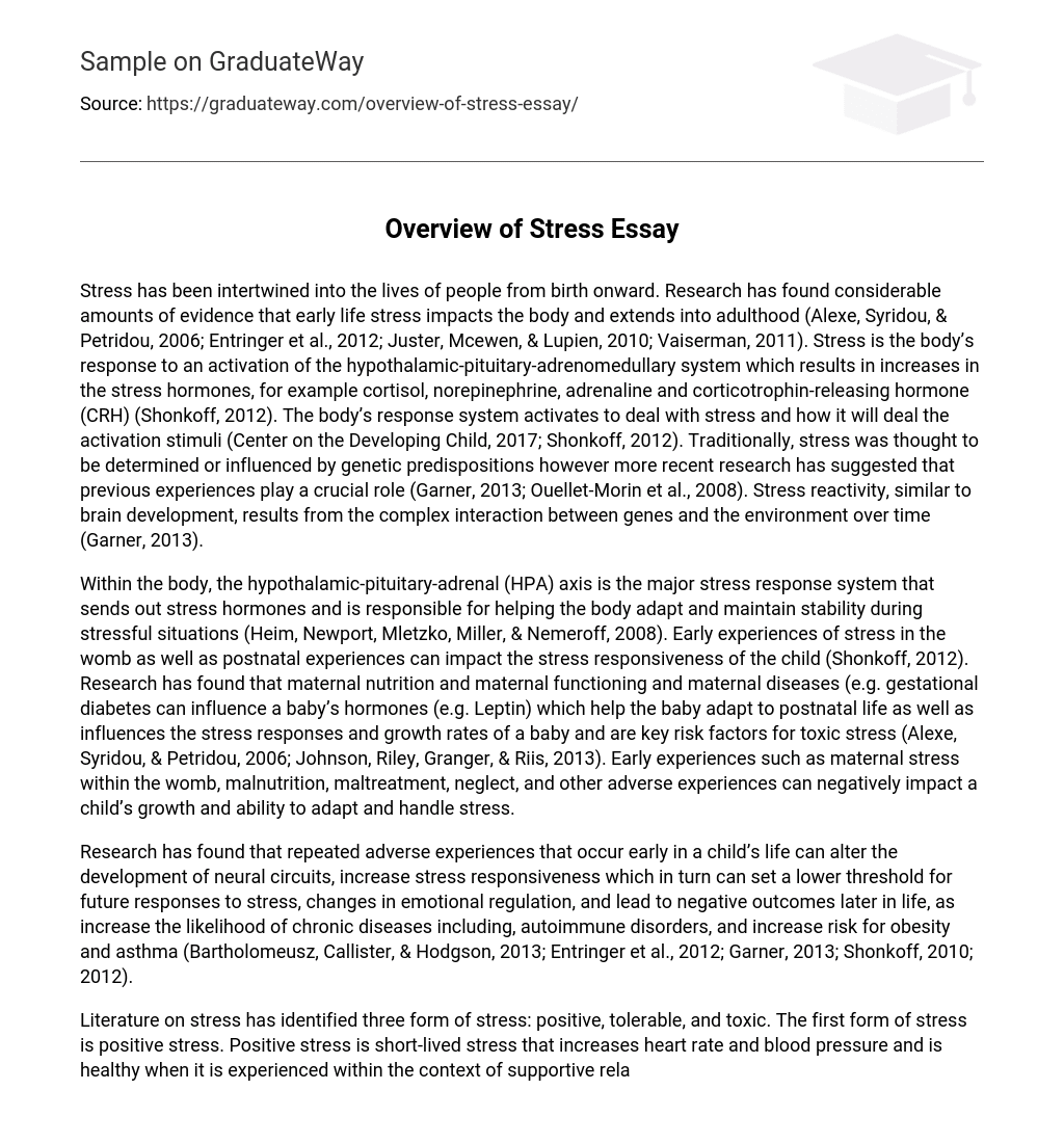 Overview of Stress Essay