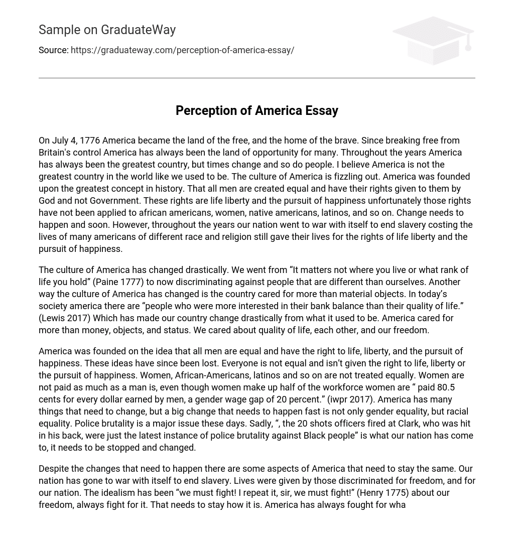 Perception of America Essay
