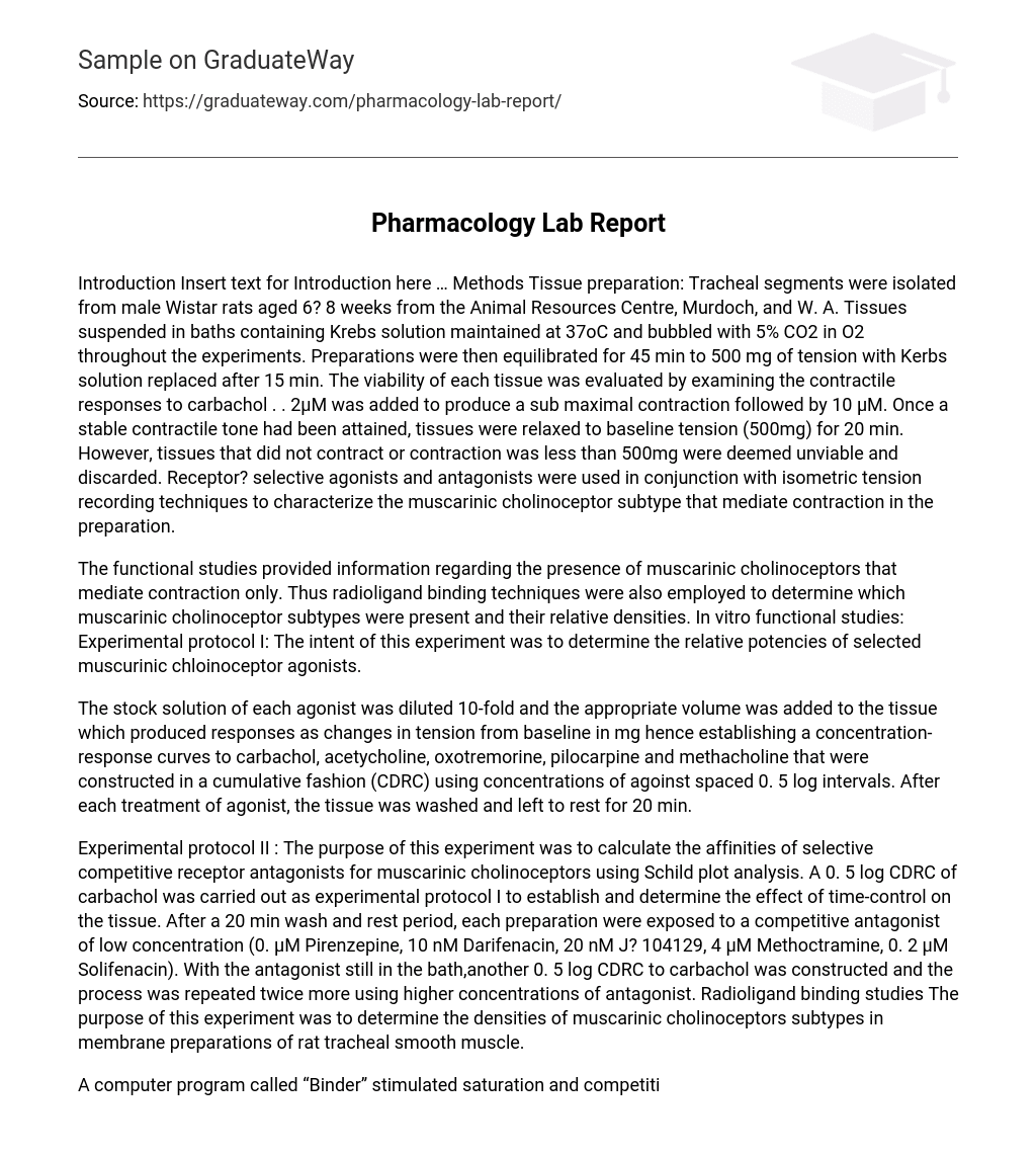 lab report essay example
