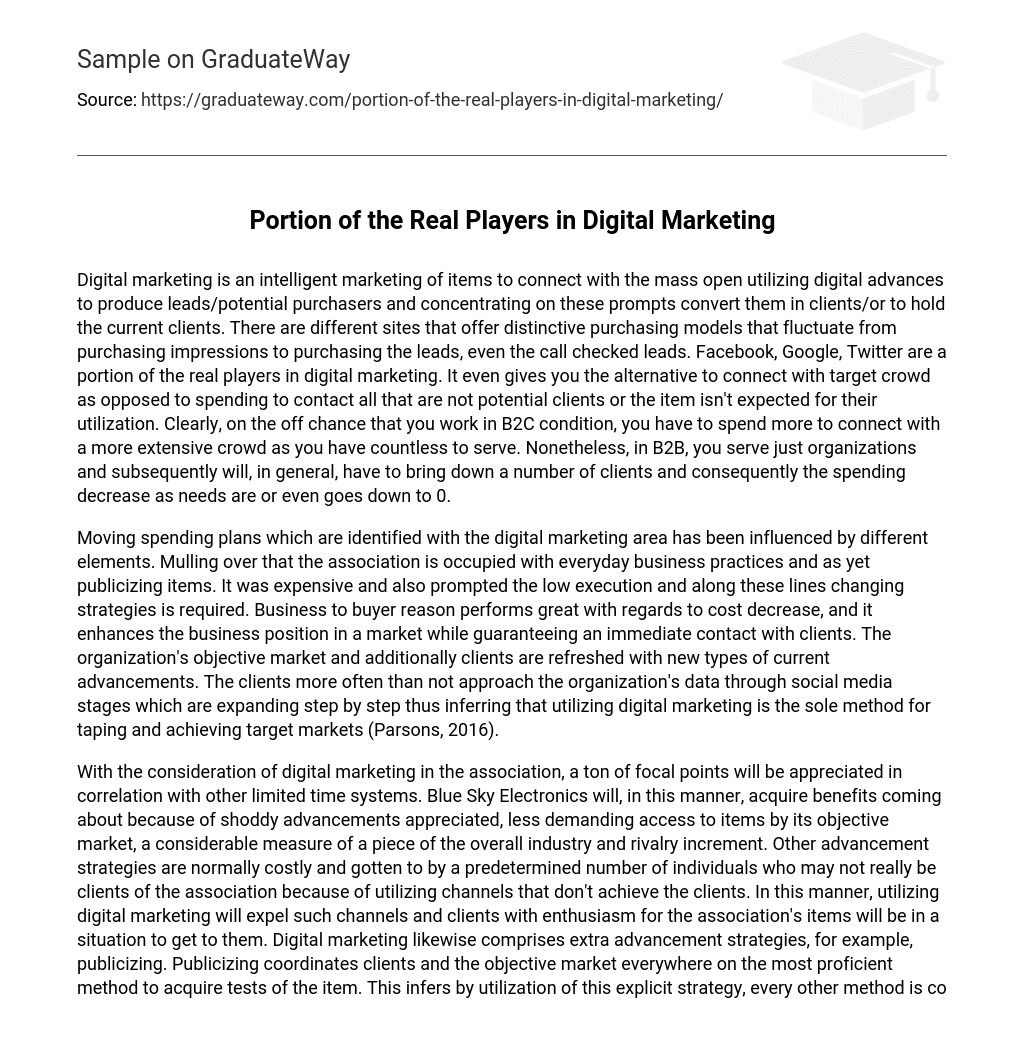 Portion of the Real Players in Digital Marketing