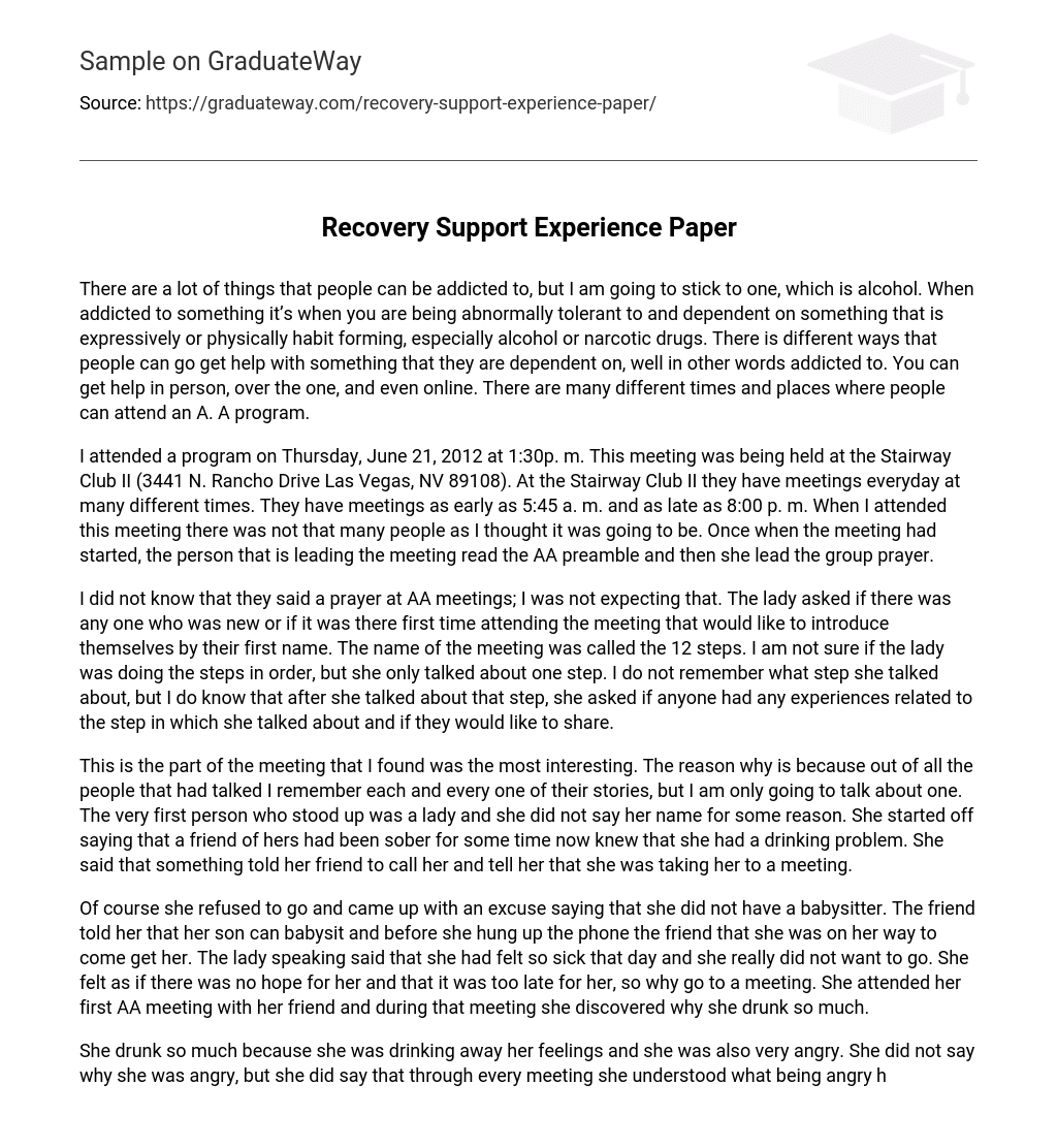 Recovery Support Experience Paper