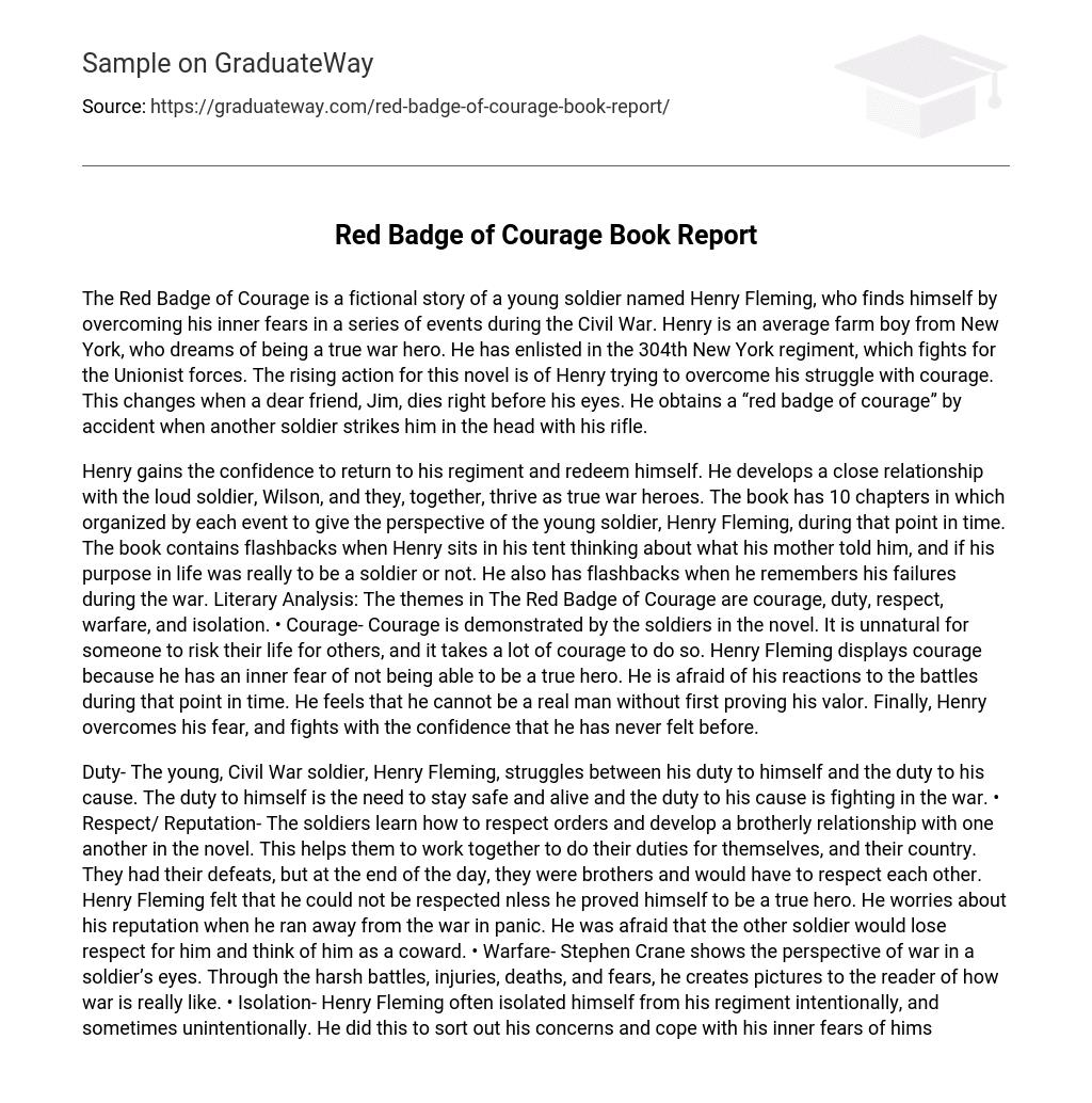 Red Badge of Courage Book Report