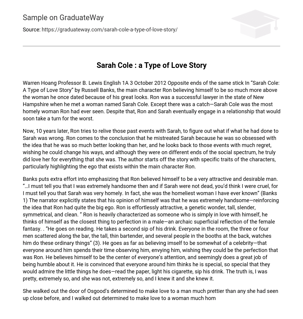 “Sarah Cole: A Type of Love Story” Short Summary