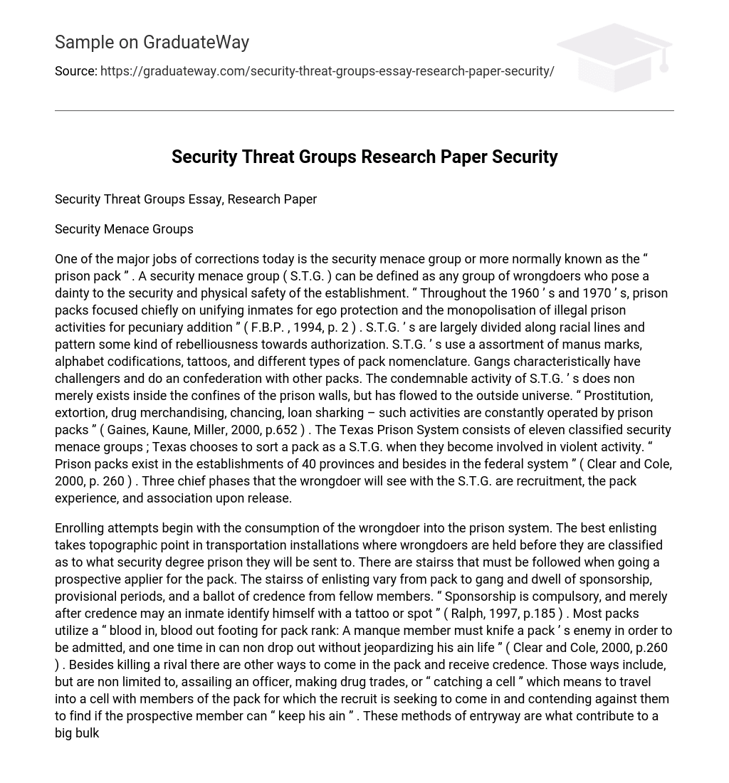 Security Threat Groups Research Paper Security