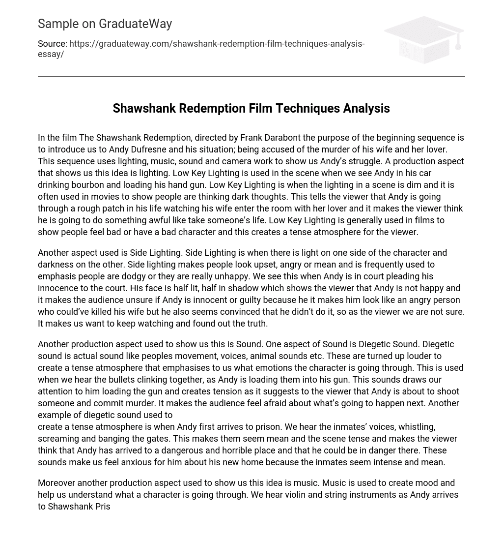 Shawshank Redemption Film Techniques Analysis