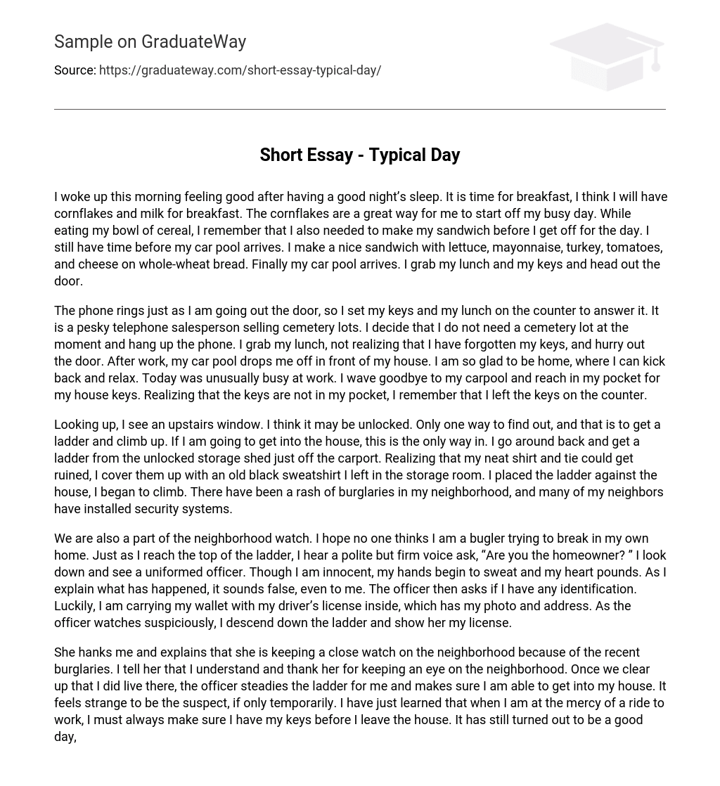 essay about a normal day