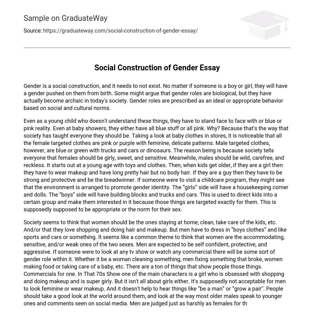 Social Construction of Gender Essay
