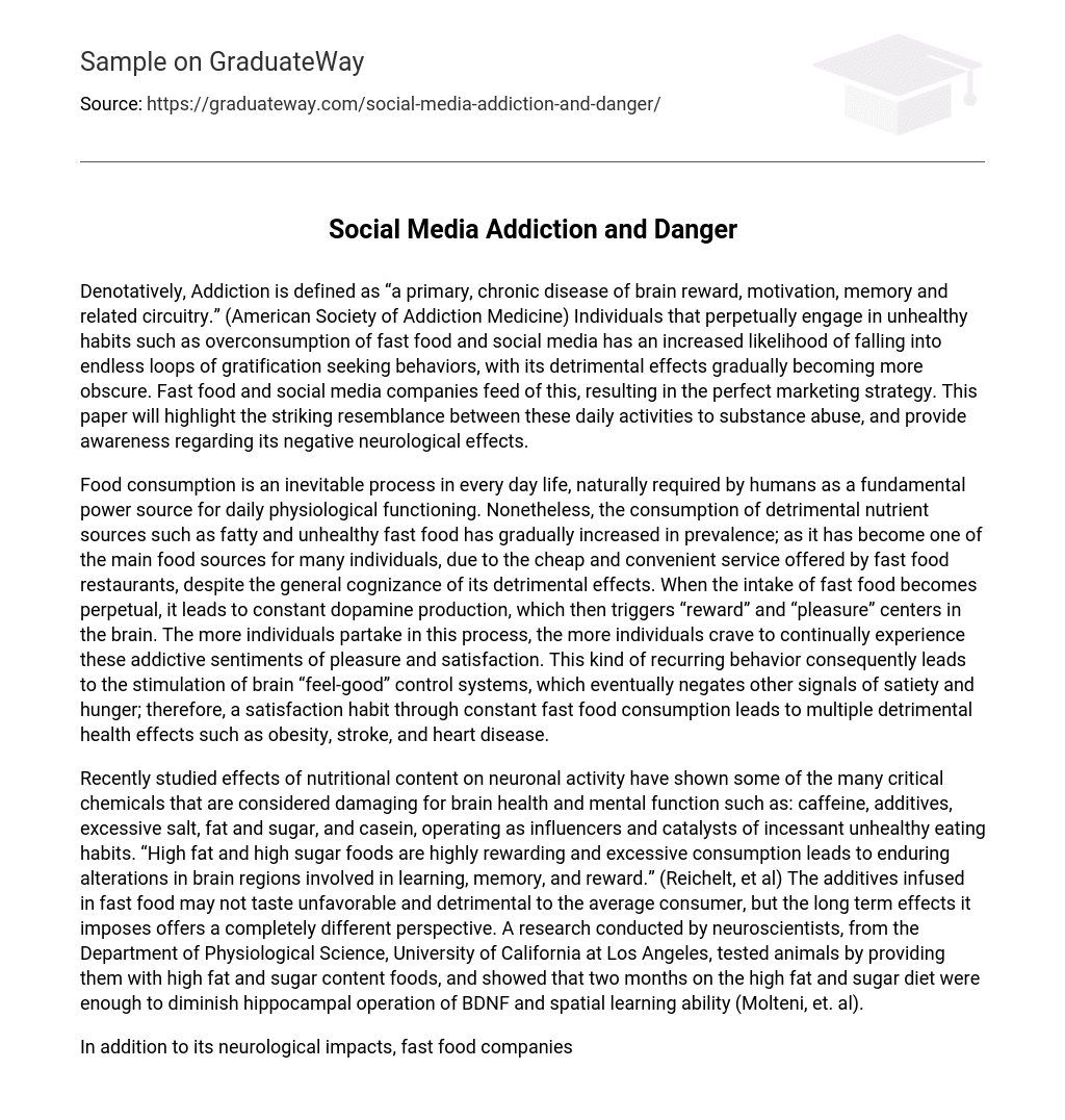 social media addiction essays