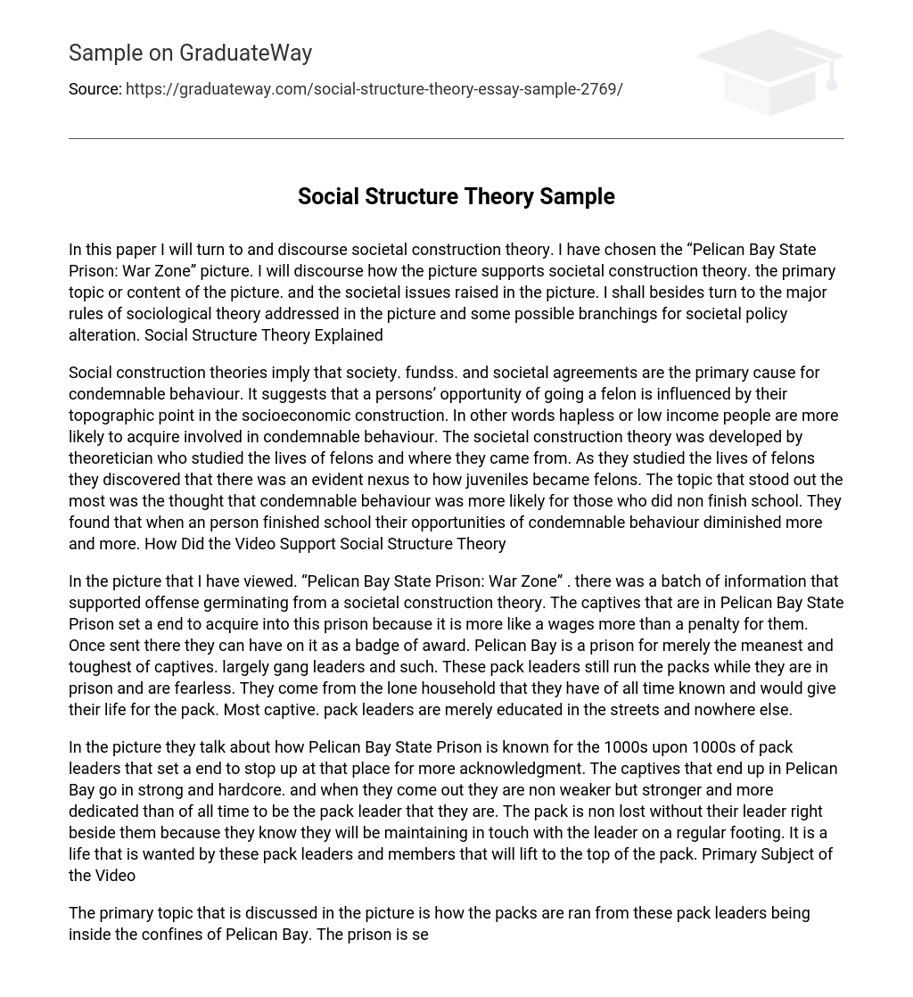 Social Structure Theory Sample