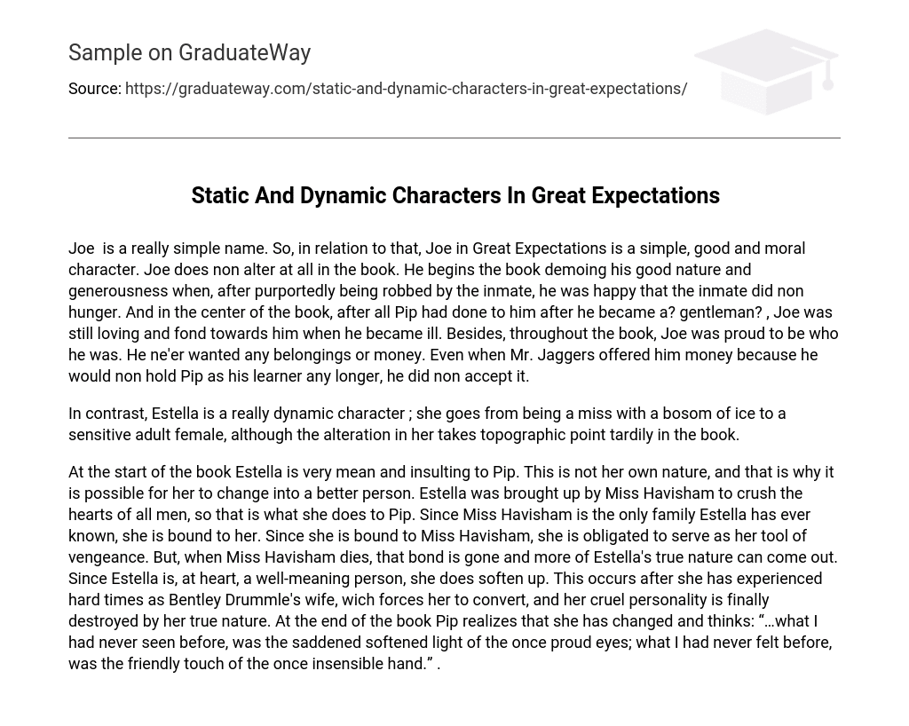 Static And Dynamic Characters In Great Expectations Character Analysis