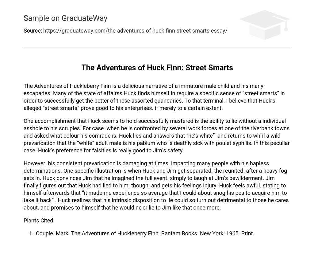 The Adventures of Huck Finn: Street Smarts