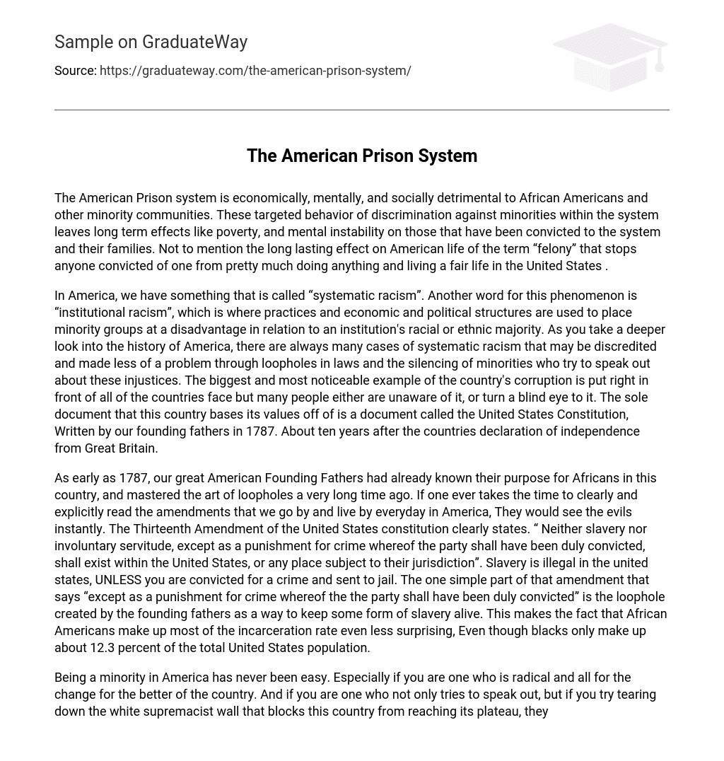 The American Prison System