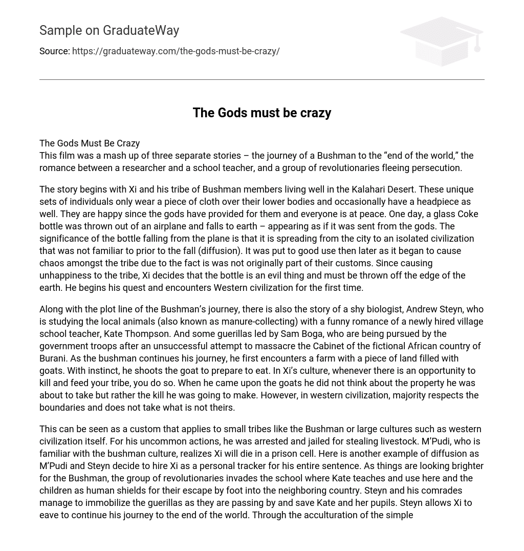  The Gods Must Be Crazy Short Summary Essay Example GraduateWay