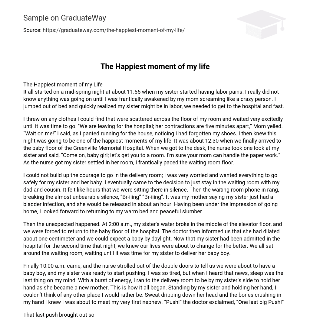  The Happiest Moment Of My Life Essay Example GraduateWay