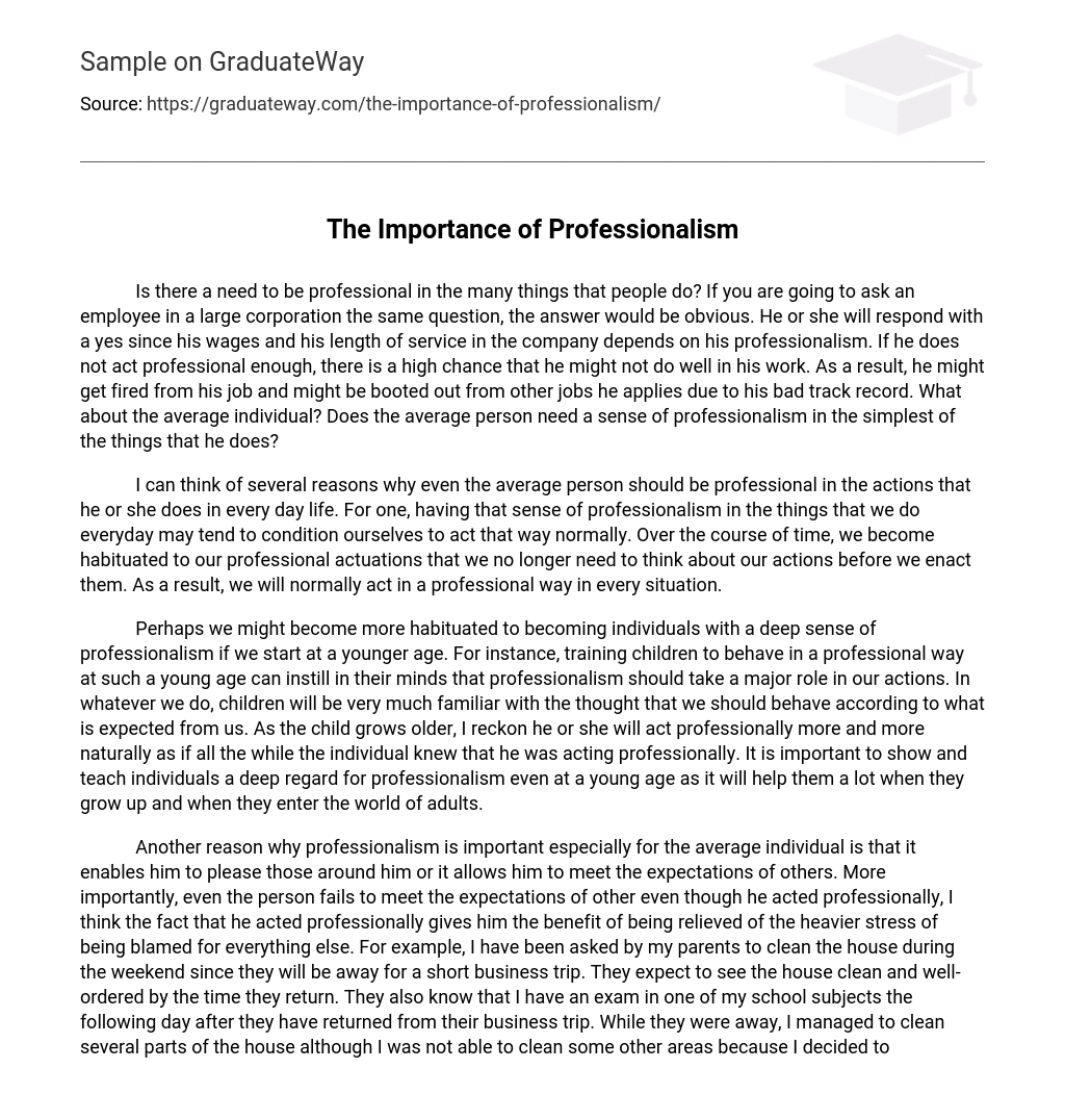 example of essay about professionalism