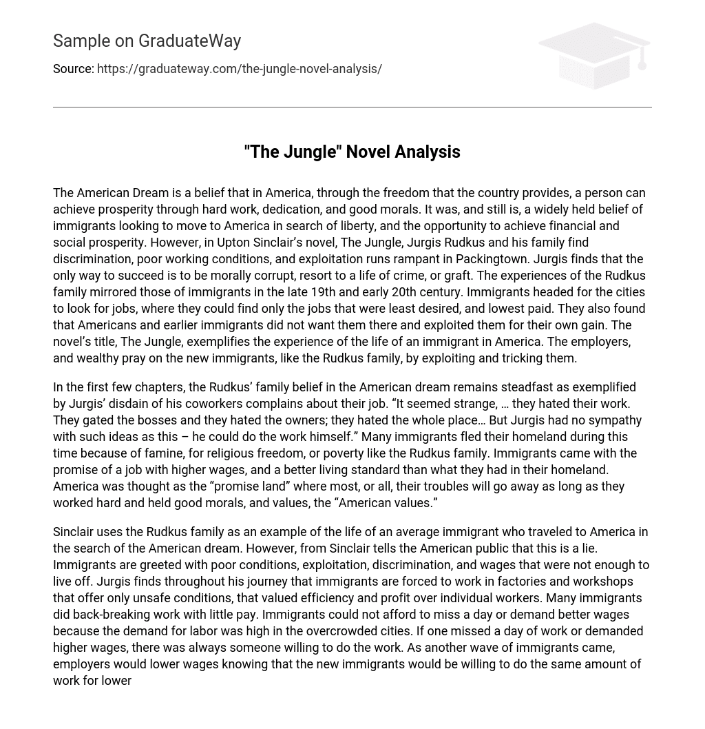 “The Jungle” Novel Analysis