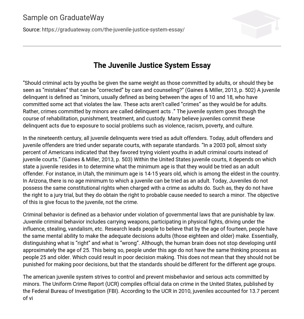 The Juvenile Justice System Essay