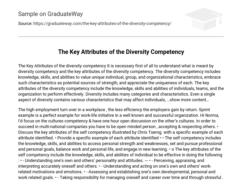 The Key Attributes of the Diversity Competency