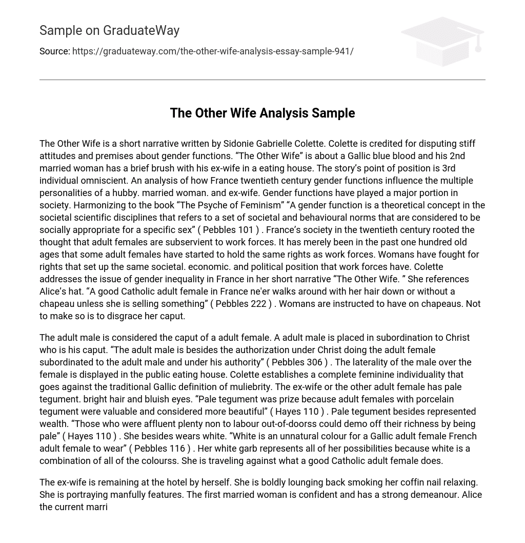 The Other Wife Analysis Sample