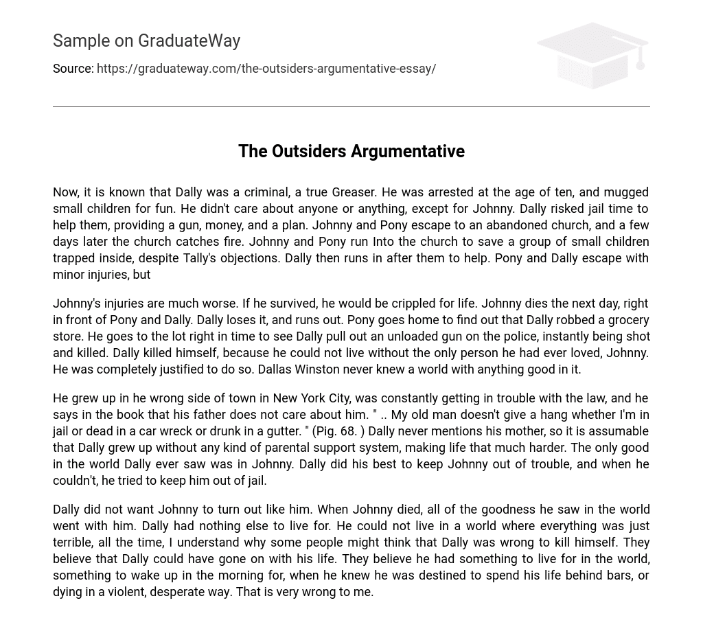 the-outsiders-argumentative-essay-example-graduateway