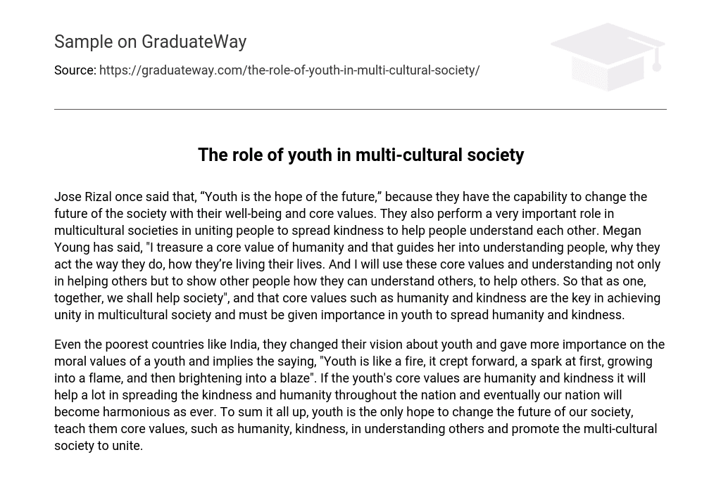The role of youth in multi-cultural society