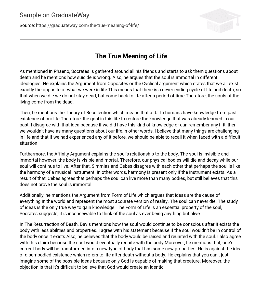 essay the meaning of life