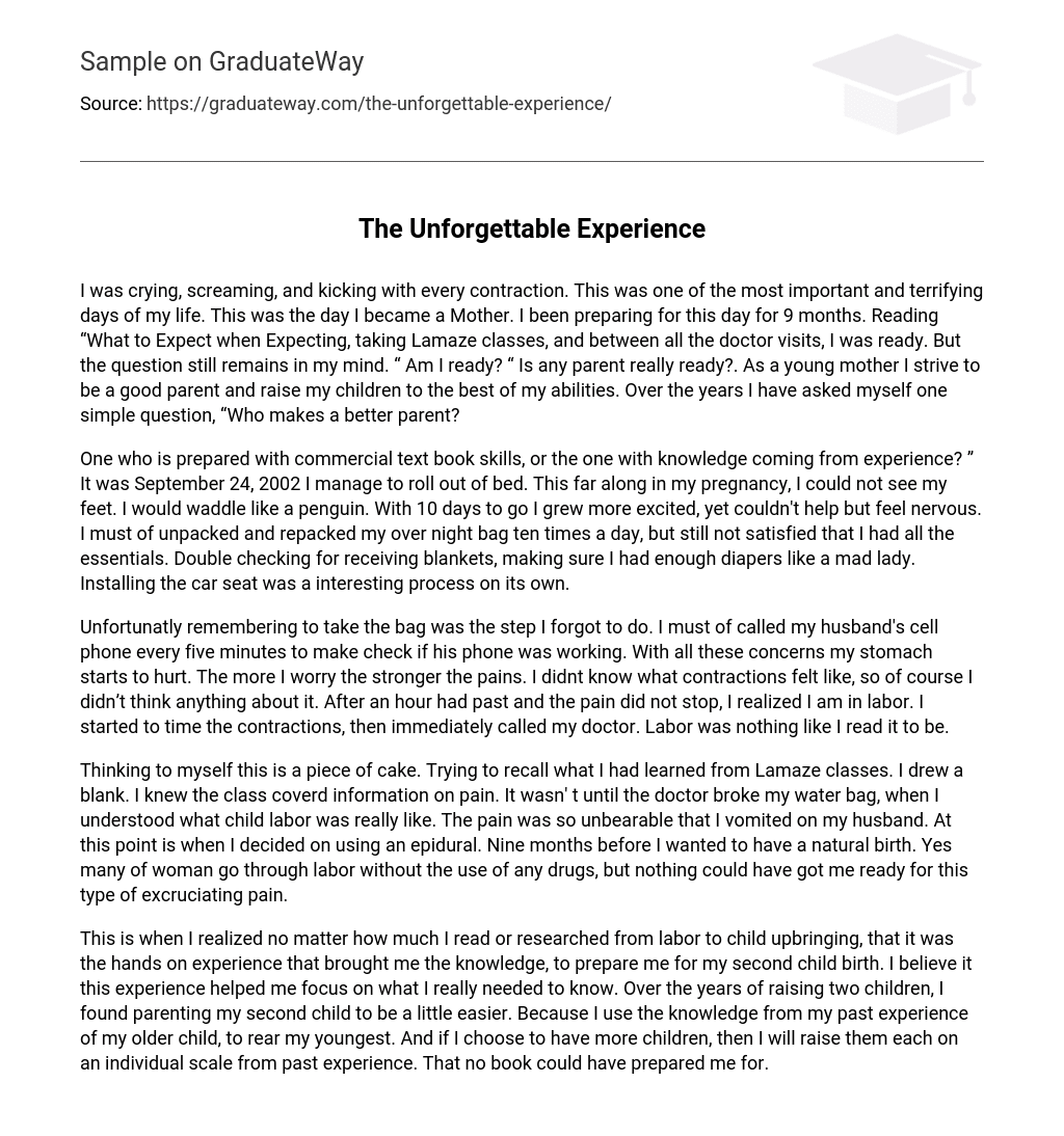 my unforgettable experience short essay