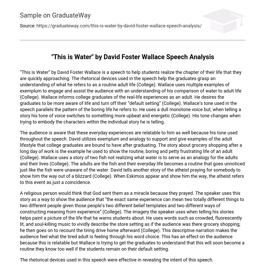 “This is Water” by David Foster Wallace Speech Analysis