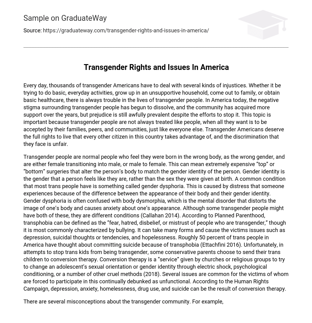 Transgender Rights and Issues In America