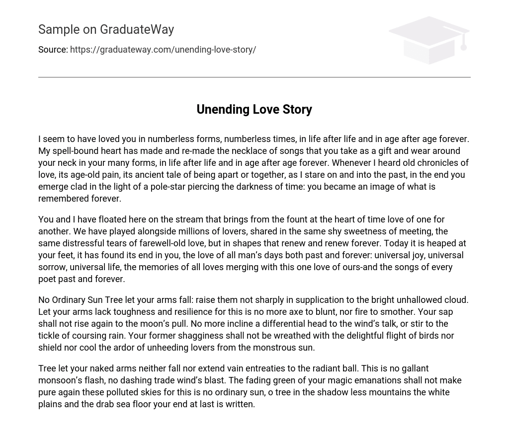Unending Love Story Analysis
