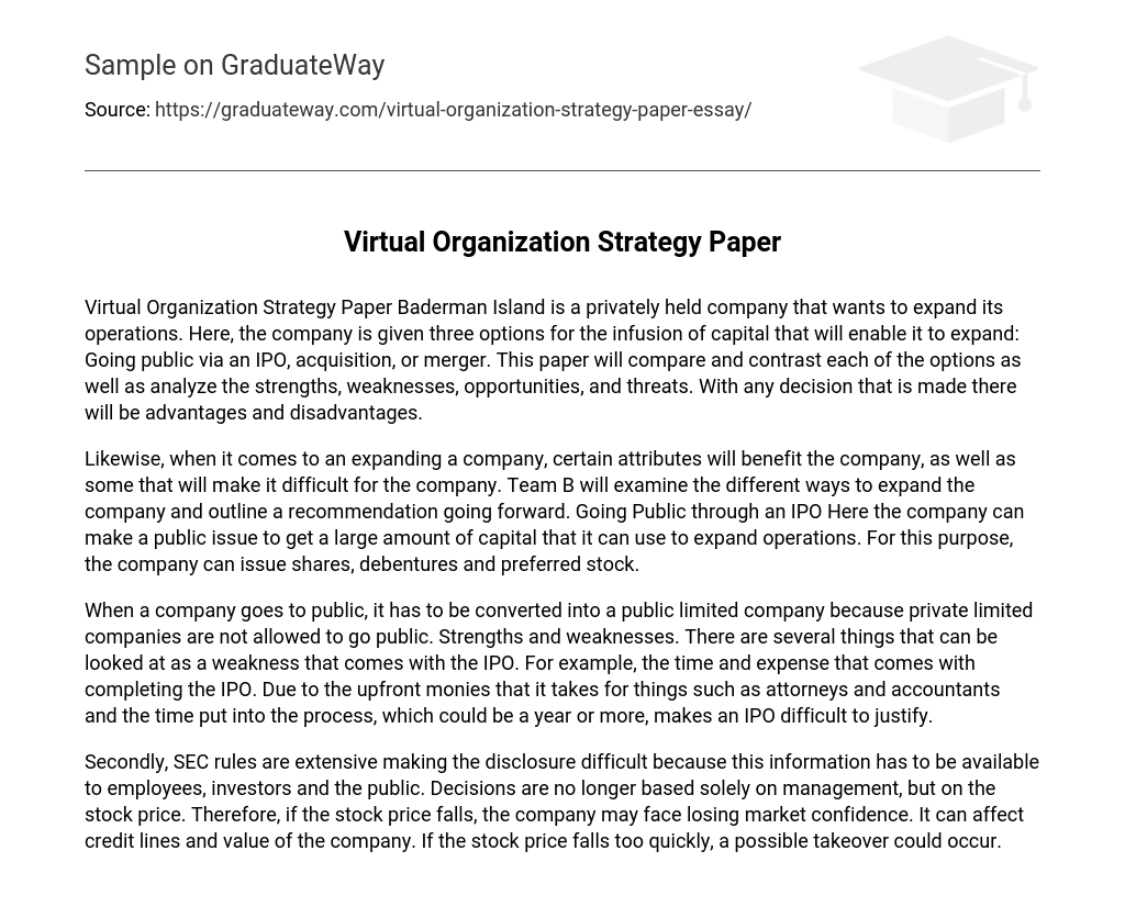 Virtual Organization Strategy Paper